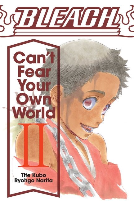 Bleach: Can't Fear Your Own World, Vol. 2 - The Manga House