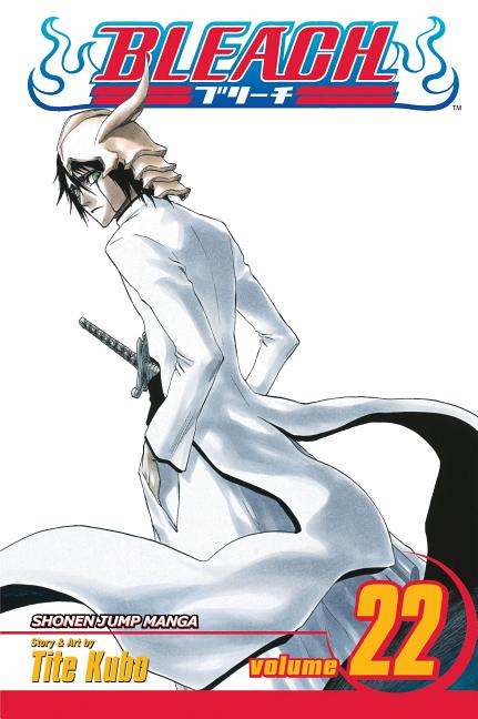 Bleach, Vol. 22 - The Manga House