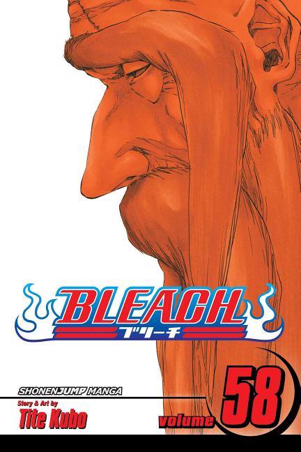 Bleach, Vol. 58 - The Manga House